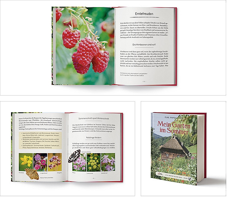 Mein Garten im Sommer